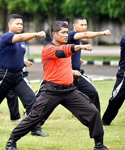 Our Training